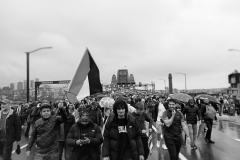 Bridge-Demo-for-Palestine